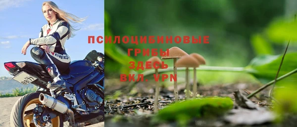 сатива Армянск