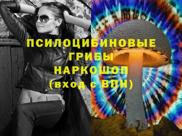 спайс Арсеньев