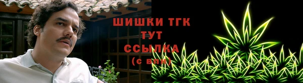 стафф Аркадак