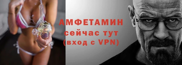 стафф Аркадак