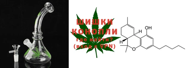 стафф Аркадак