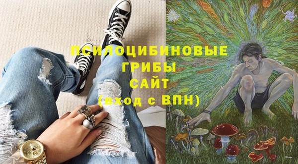 спайс Арсеньев