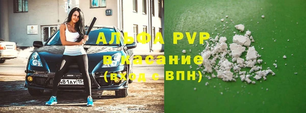 сатива Армянск