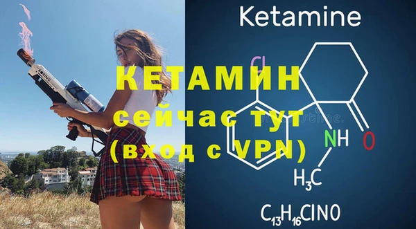 сатива Армянск